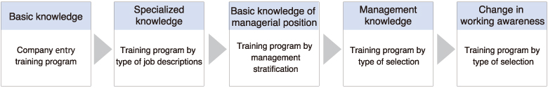 Overview of Training System