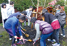 Greening at a school