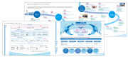 Sustainable Value Creation