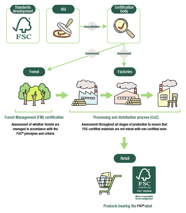 This diagram summarizes the FSC forest certification system. FSC forest certification involves ASI accrediting certification bodies, which then conduct assessments. Certification bodies assess whether forests are managed according to FSC principles and criteria. They also assess factories to ensure FSC-certified materials are not mixed with non-compliant materials throughout the production process until the final product is completed. Factories ship products bearing the FSC label to retailers.