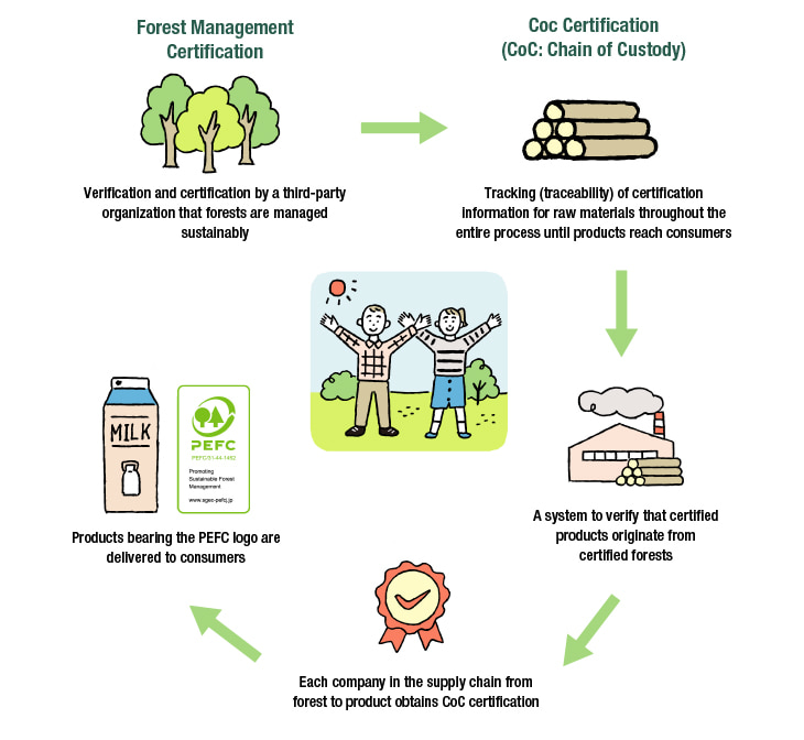 This diagram summarizes the PEFC certification system. PEFC certification consists of multiple stages. First, in forest management certification, a third-party organization verifies and certifies that the forest is being managed sustainably. Next, in CoC certification, the certification information of raw materials is tracked throughout the entire process until the product reaches the consumer. This proves that the certified product originates from certified forests, and each company in the chain from forest to product obtains CoC certification. After going through these processes, products bearing the PEFC logo reach consumers.
