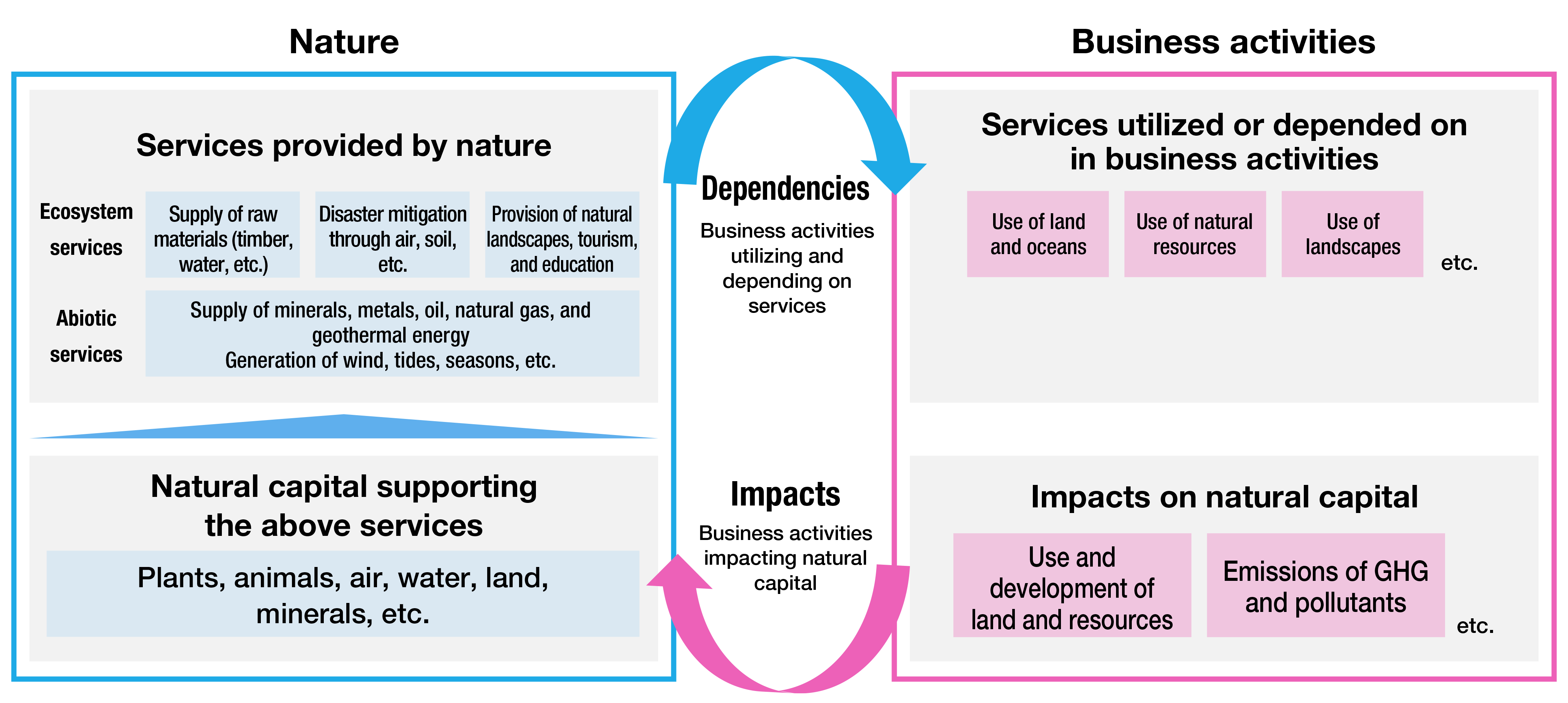 The diagram summarizes the relationship between nature and business activities. Nature provides services that businesses use and depend on, while business activities impact natural capital. The services provided by nature include ecosystem services and abiotic services, which are utilized in business activities. Natural capital such as plants, animals, air, water, land, and minerals are in turn affected by land and resource use and development, as well as emissions of GHGs and pollutants.
